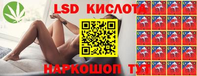 твердый Будённовск