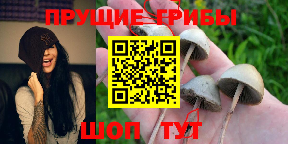 Тольятти  Галлюциногенные грибы мухоморы  Галлюциногенные грибы Psilocybine cubensis  Вход с VPN 